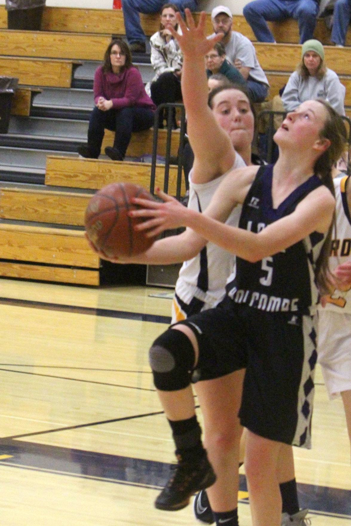 Lake Holcombe at New Auburn girls basketball 2-14-19
